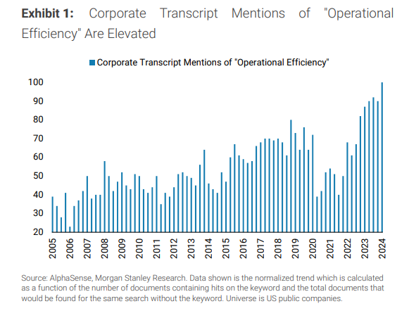 operational efficiency mentions 2024